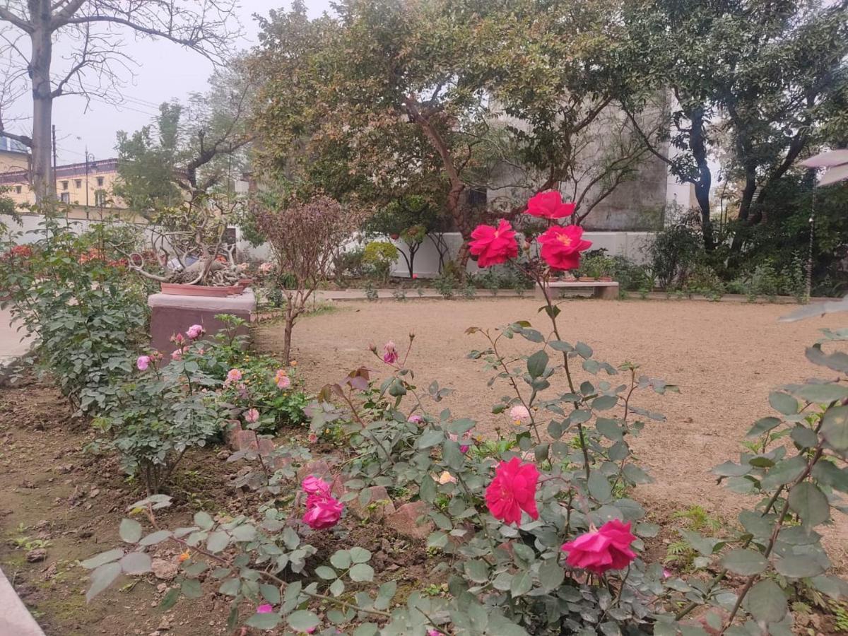 Vatika Homestay Varanasi Exterior foto