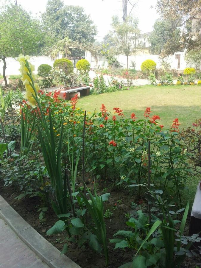 Vatika Homestay Varanasi Exterior foto