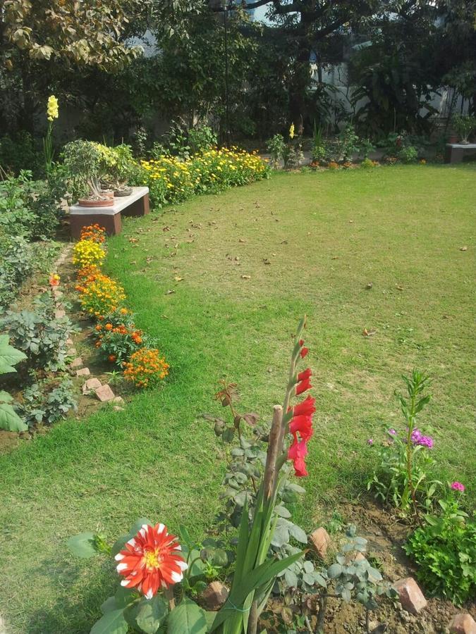 Vatika Homestay Varanasi Exterior foto